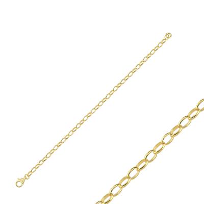 Charm 15 cm Altın Kaplama Gümüş Zincir CH01